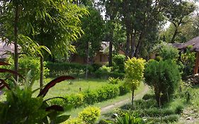 Jungle Base Camp